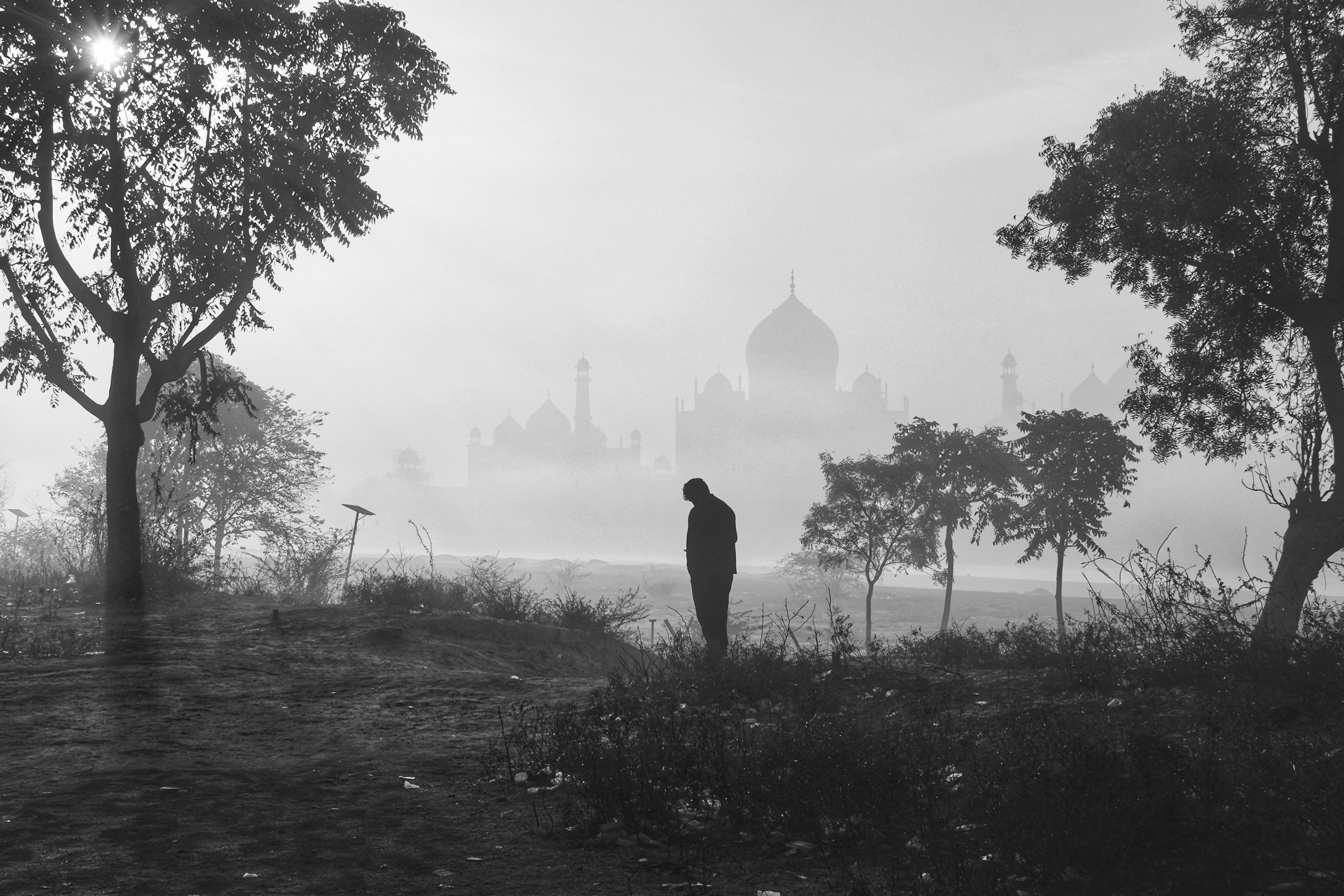 Tajmahal photograph 7